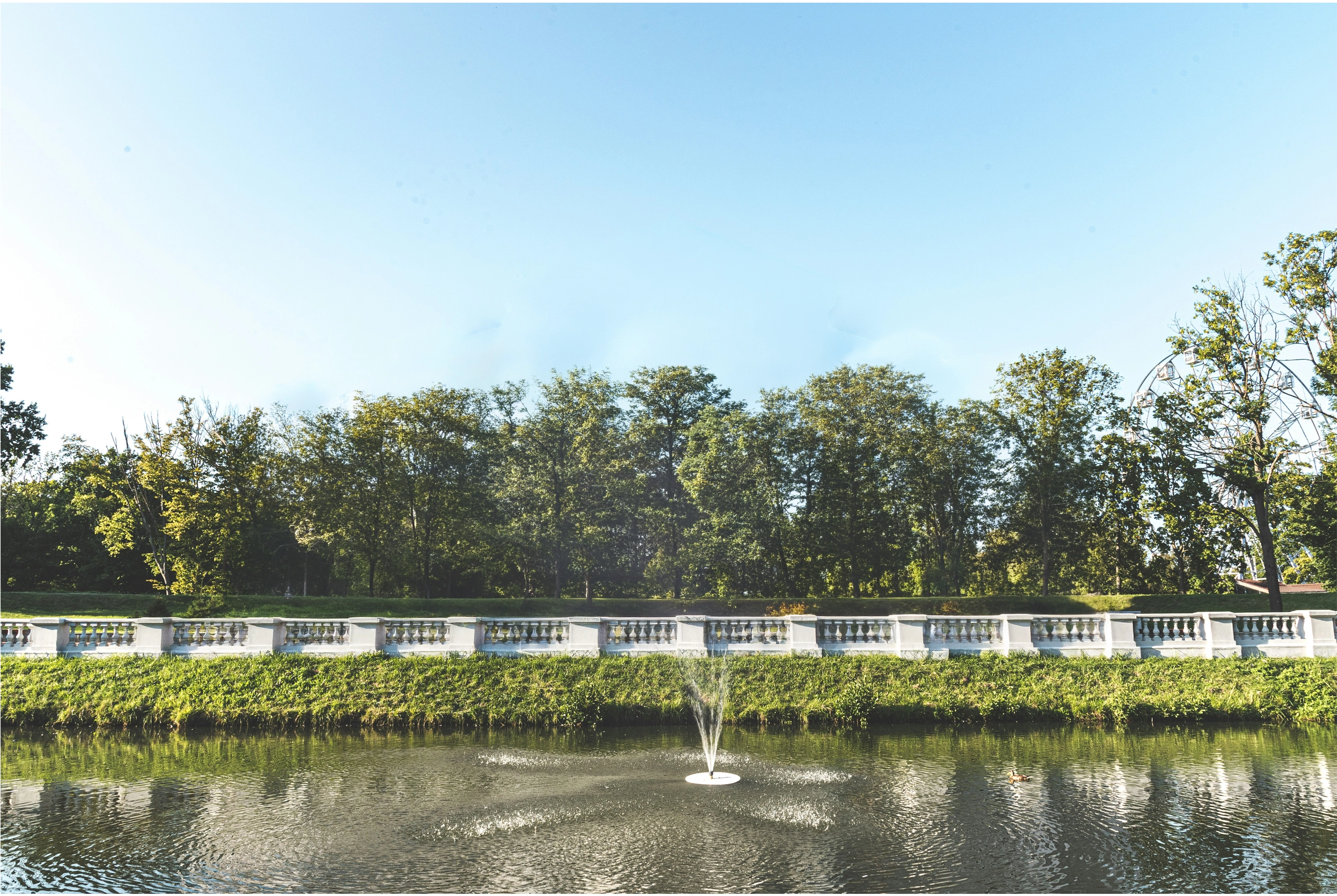 The site with nothing built on it: a still pond in the foreground reflecting a clear sky, a bank of rough grass and bare earth beyond it, and a line of deciduous trees closing the far side.