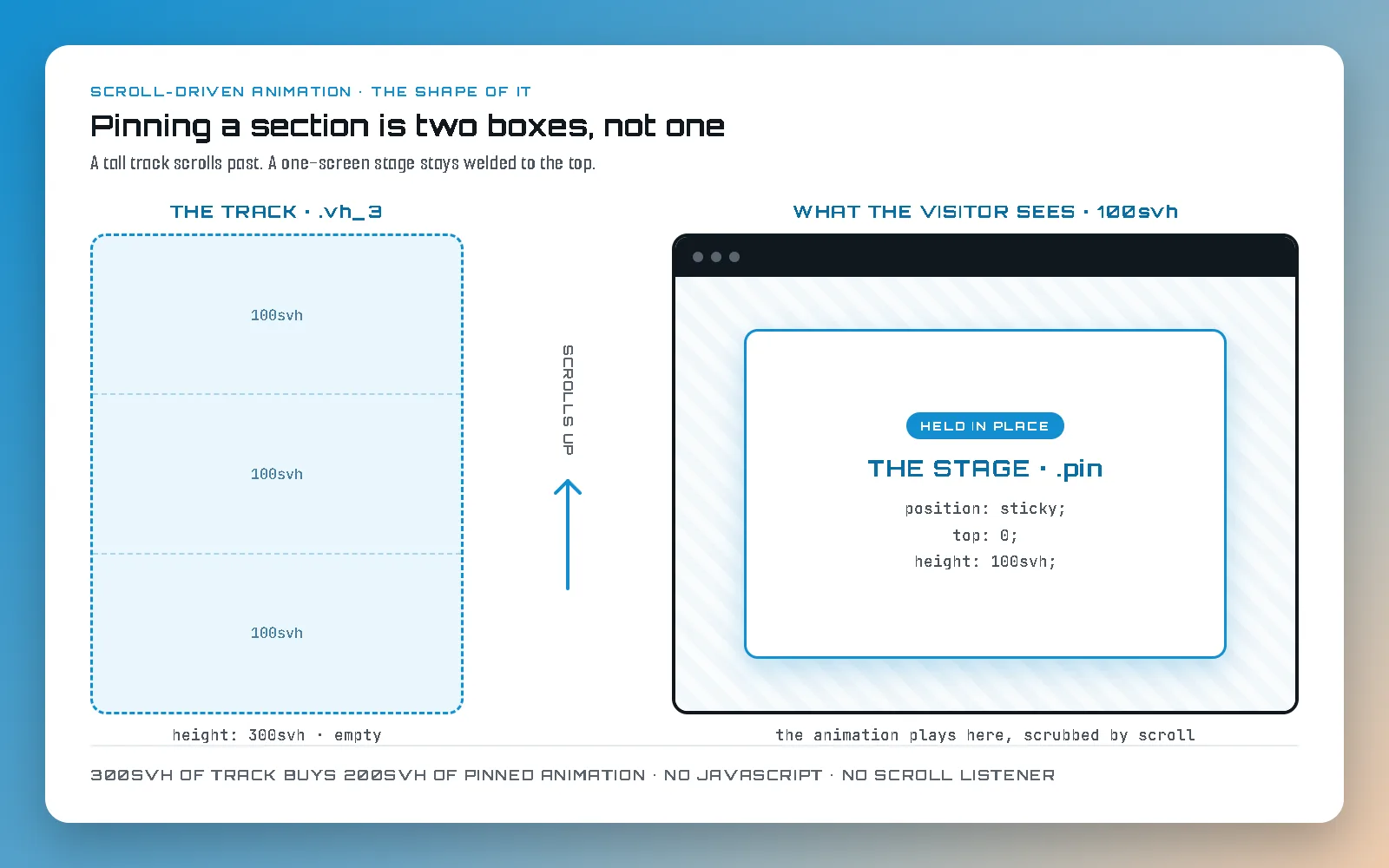 Diagram on a blue-to-tan gradient headed "Pinning a section is two boxes, not one". On the left a tall dashed box labelled THE TRACK, dot vh_3, is divided into three segments each marked 100svh, footed "height: 300svh, empty". An arrow between the columns reads "scrolls up". On the right, a browser window labelled "what the visitor sees, 100svh" holds a panel marked "Held in place", THE STAGE, dot pin, listing position: sticky, top: 0, height: 100svh. Footer: 300svh of track buys 200svh of pinned animation, no JavaScript, no scroll listener.