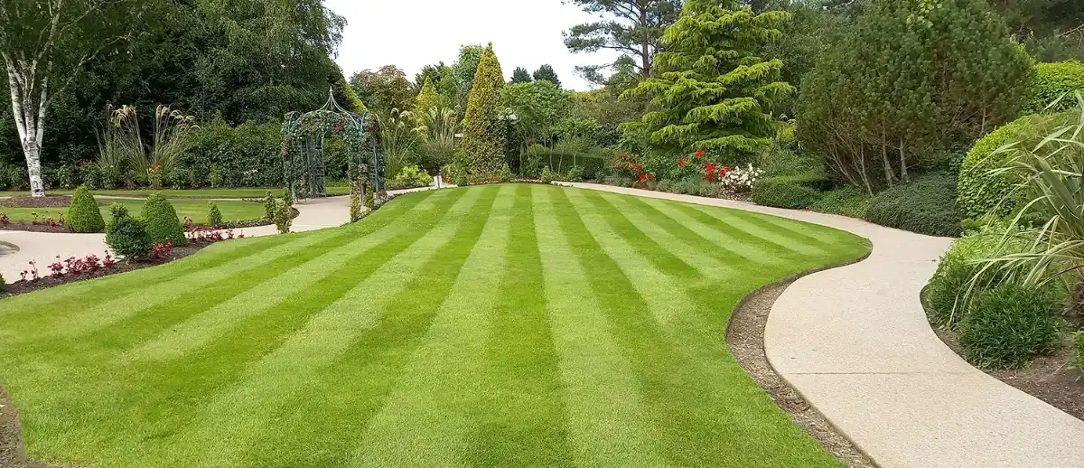 A formal garden with a striped mown lawn curving away between planted borders, a rose-covered iron arbour to the left and a pale gravel path sweeping round to the right past clipped conifers.