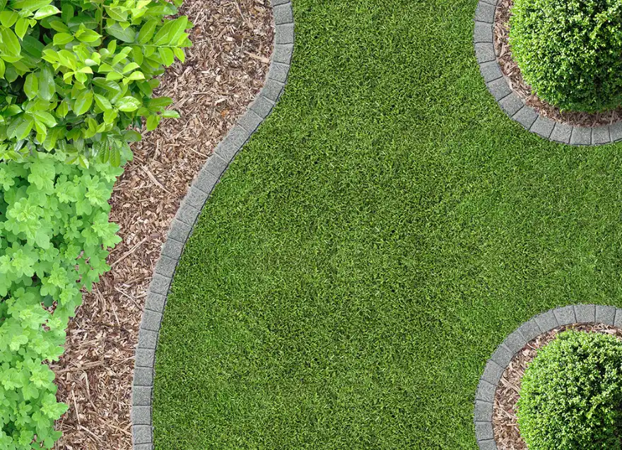 A garden seen from directly overhead: a mown lawn edged with a curving line of set stone setts, a bark-mulched border of shrubs and ground cover along one side, and two clipped box spheres in circular stone surrounds.